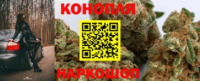 индика Надым